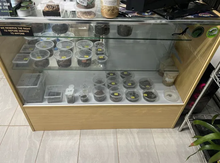 agamasmauexotics 12