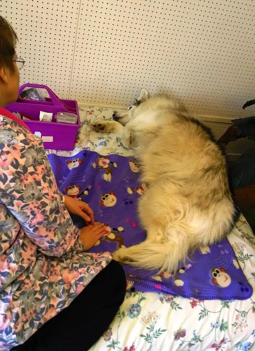Paws For Holistic Pet Care 3