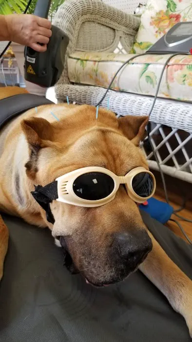 Paws For Holistic Pet Care 5