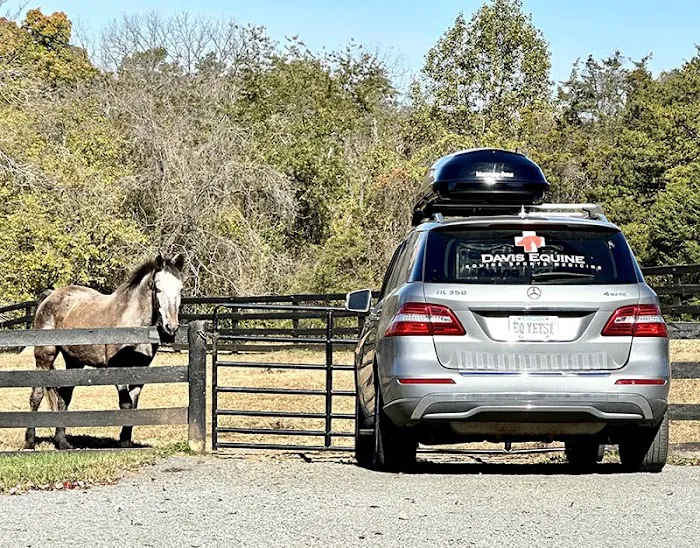 Davis Equine 12