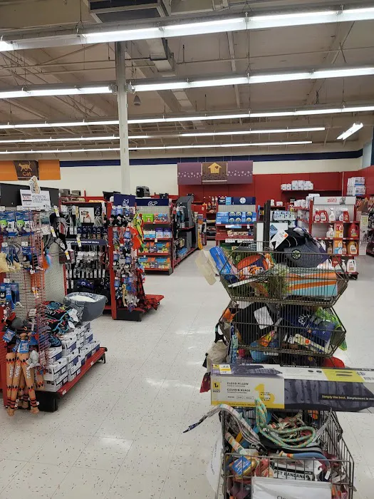 Petco 12