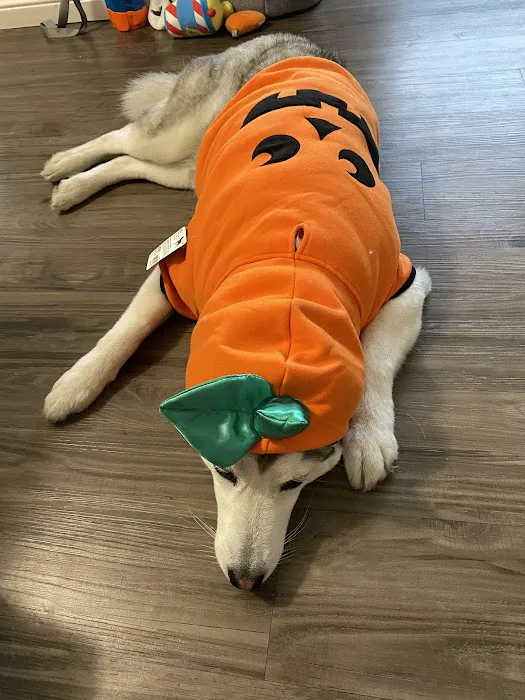 Petco 12
