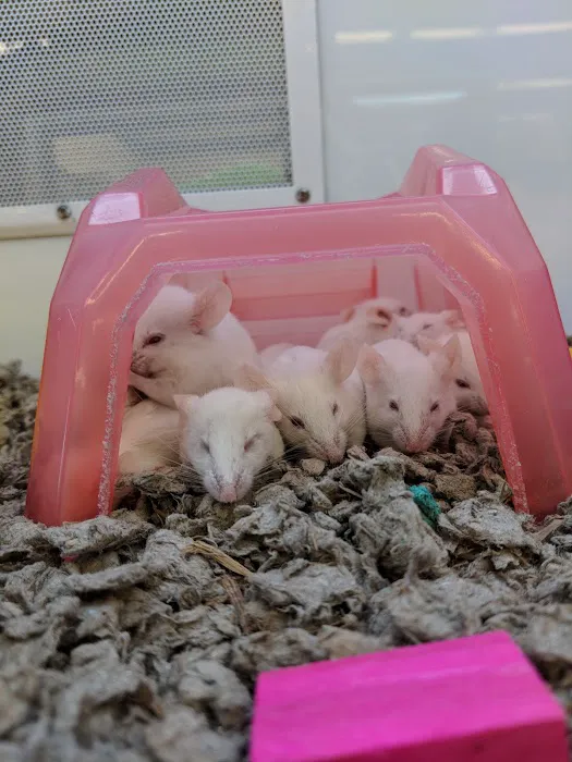 Petco 12