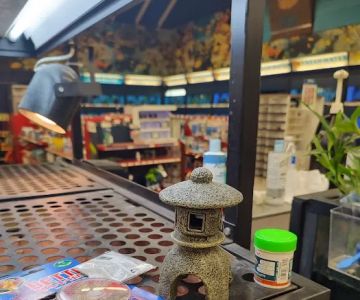 Petco