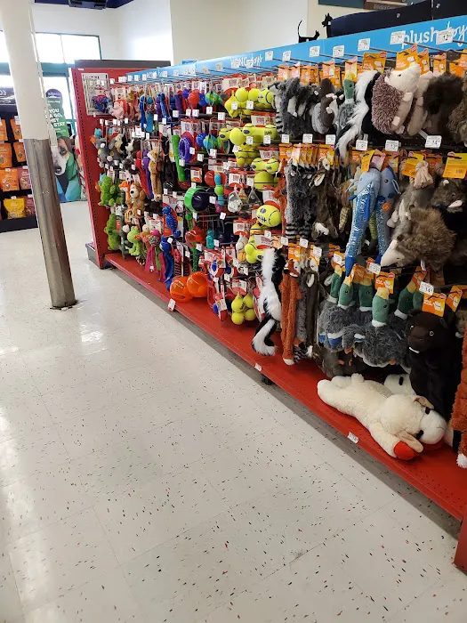 Petco 12