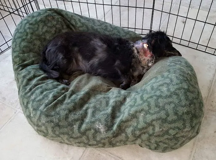 Animal Medical Center Of Warrenton 8
