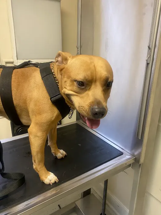 Animal Medical Center Of Warrenton 4