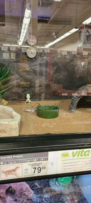 Petco 12