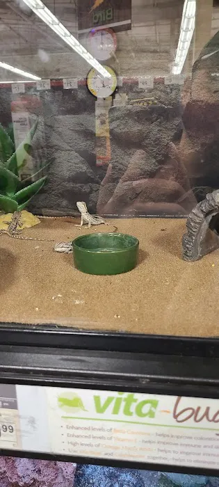 Petco 12