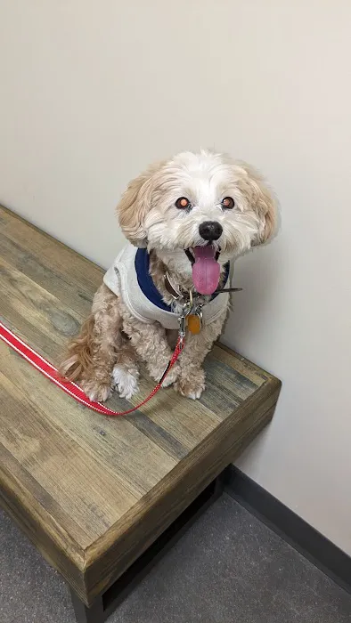 Petco 12