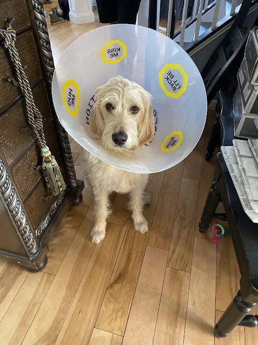 Prospect Veterinary Clinic 12