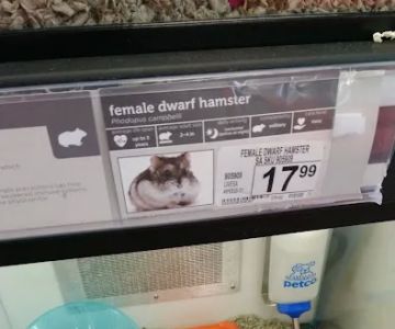 Petco