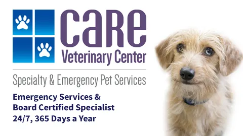 CARE Veterinary Center, A Thrive Pet Healthcare Partner 12