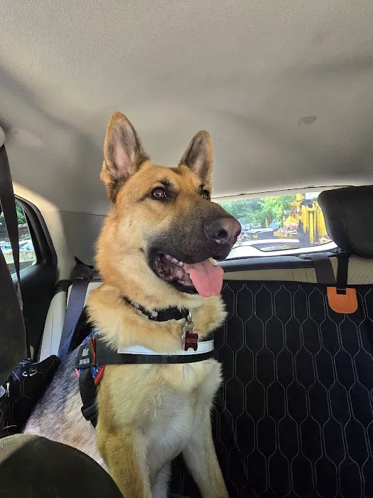 CARE Veterinary Center, A Thrive Pet Healthcare Partner 12