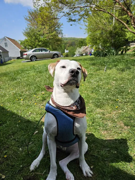 CARE Veterinary Center, A Thrive Pet Healthcare Partner 12