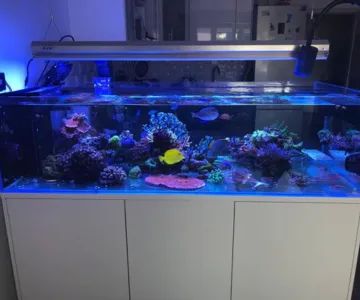 AquaPro Aquarium Service