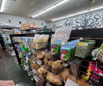 Canoga Discount Birds