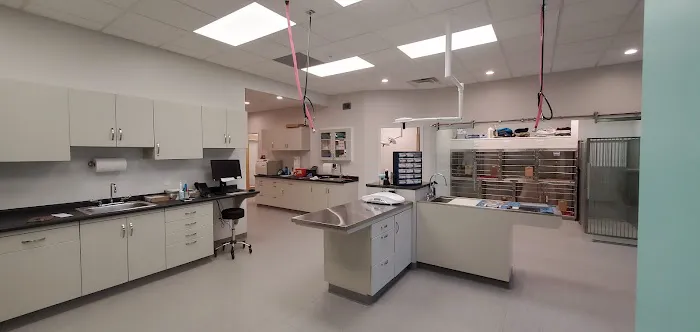 Manchester Veterinary Services 12