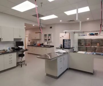 Manchester Veterinary Services