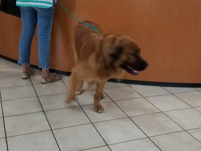 Mt. Carmel Animal Hospital 12