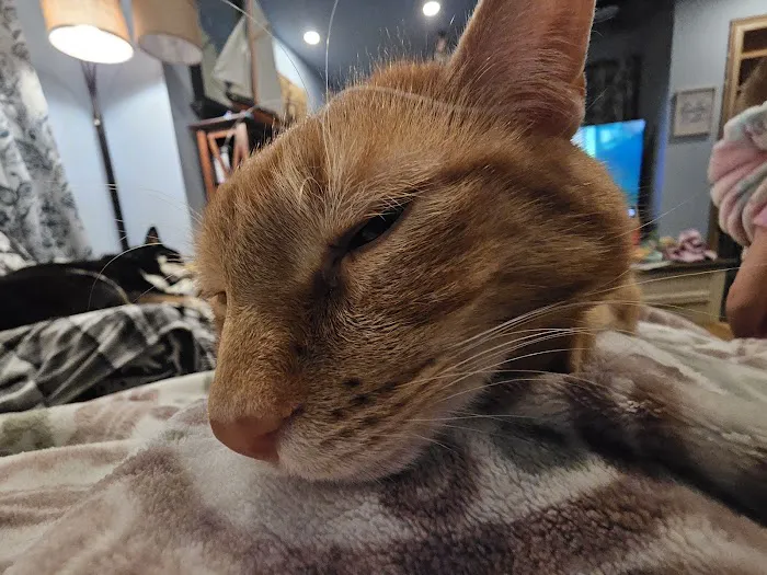 Mt. Carmel Animal Hospital 12