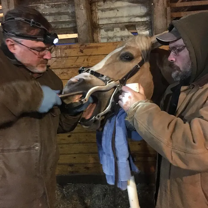 Windsor Veterinary Service Inc. 12