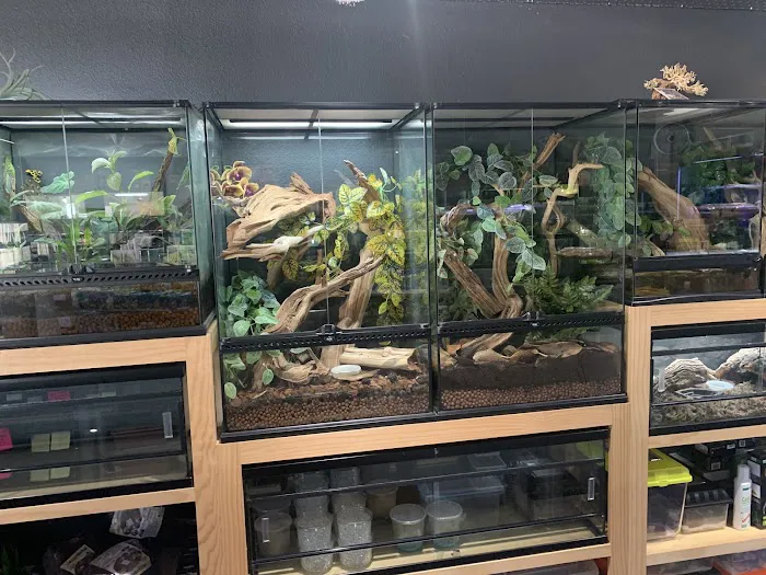 Exotic Life Fish & Reptiles 12