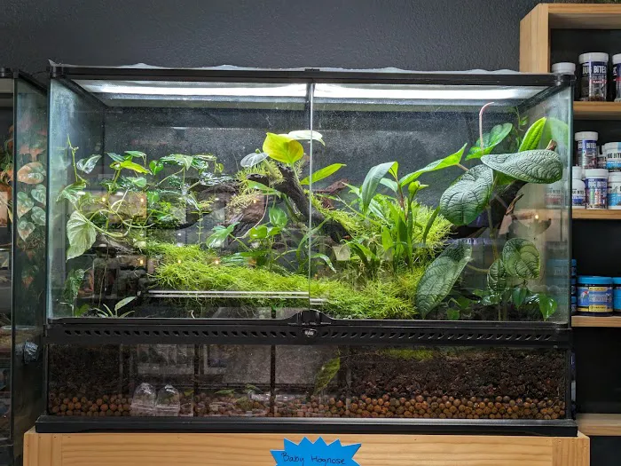 Exotic Life Fish & Reptiles 12