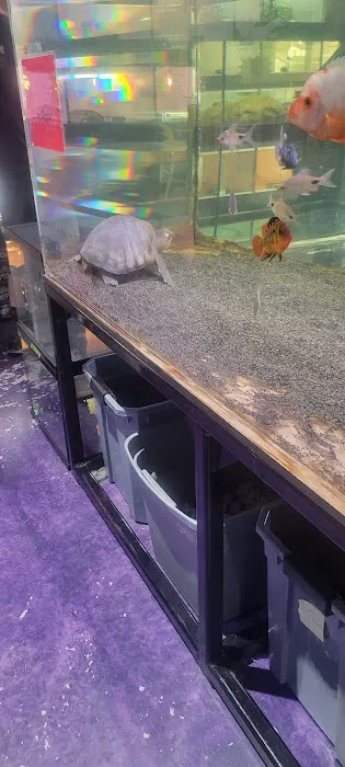Exotic Life Fish & Reptiles 12
