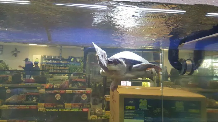 Exotic Life Fish & Reptiles 12