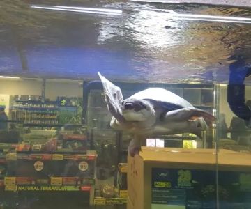 Exotic Life Fish & Reptiles