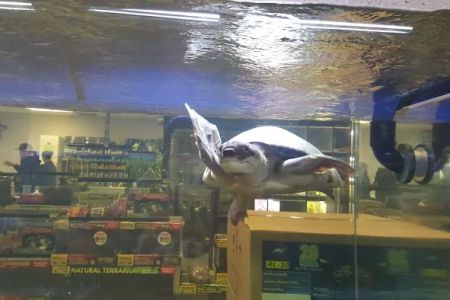 Exotic Life Fish & Reptiles