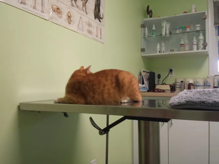 Prettyboy Veterinary Hospital 12