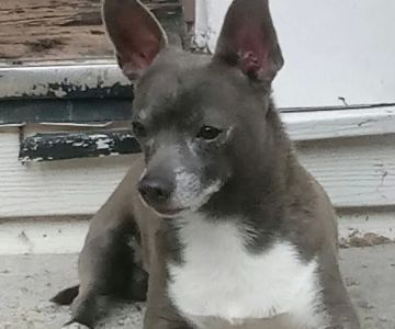 Prettyboy Veterinary Hospital