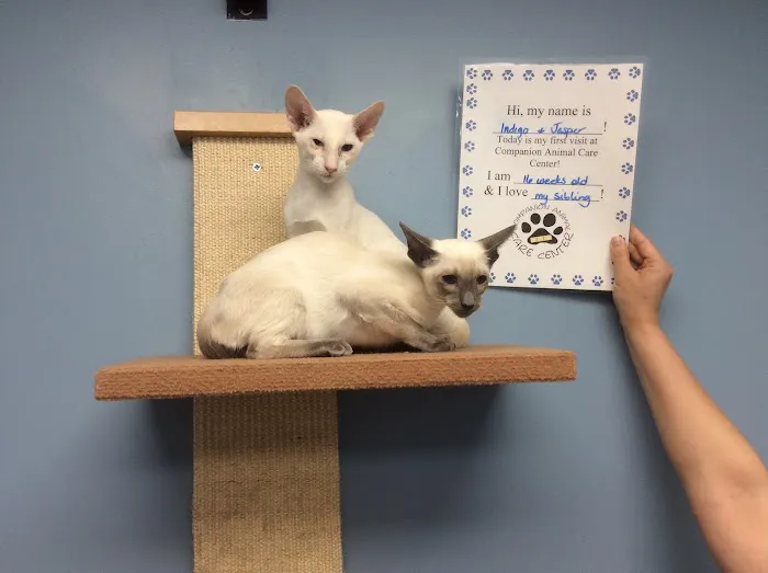 Companion Animal Care Center 10