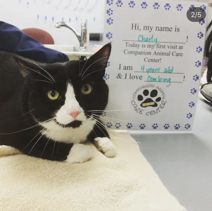 Companion Animal Care Center 8