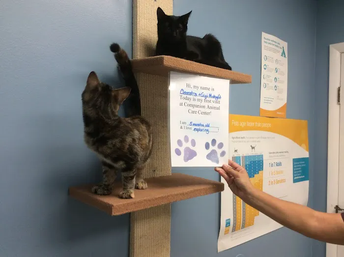 Companion Animal Care Center 5