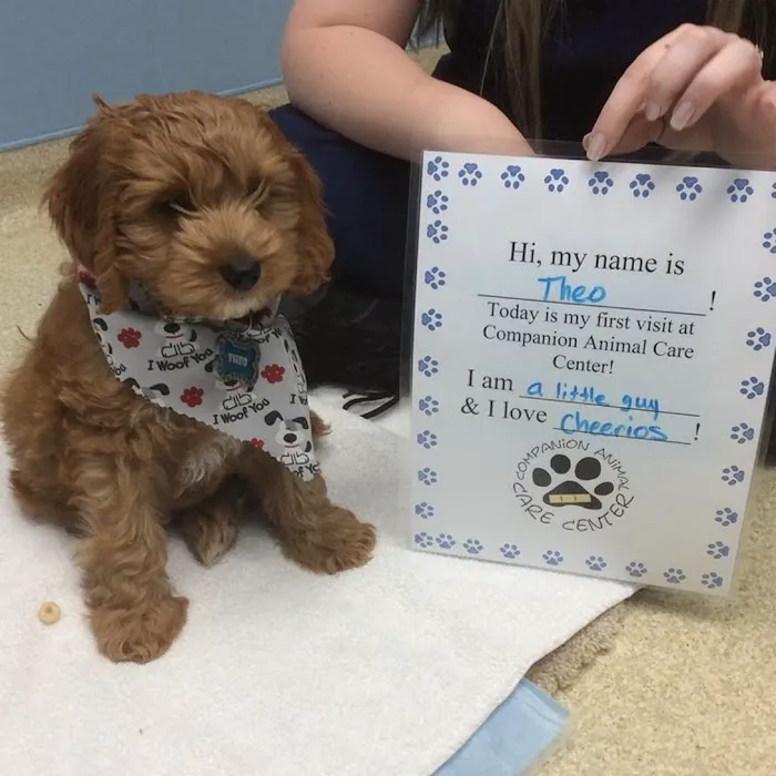 Companion Animal Care Center 6