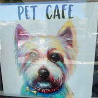 Pet Cafe ico