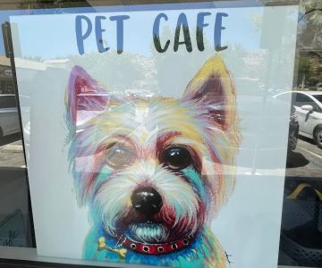 Pet Cafe