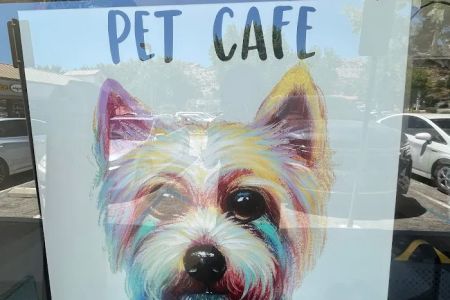 Pet Cafe