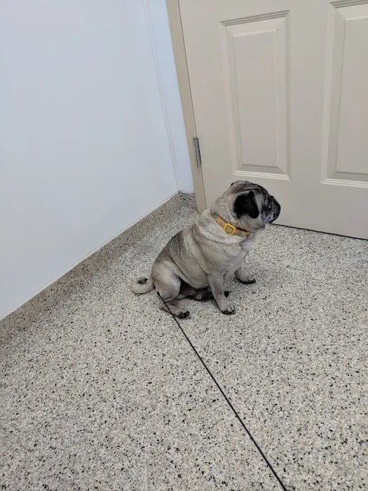 Jacksonville Veterinary Hospital 4