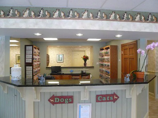 Jacksonville Veterinary Hospital 9