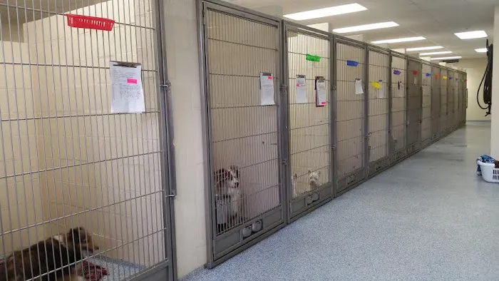 Jacksonville Veterinary Hospital 10
