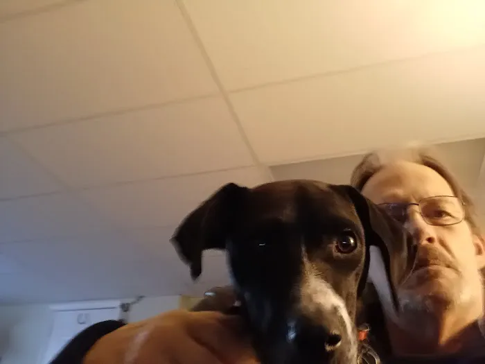 Jacksonville Veterinary Hospital 5