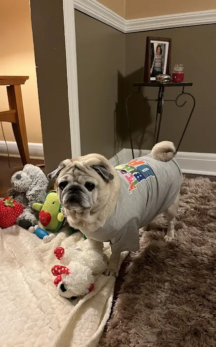 Family Pet Hospital 12