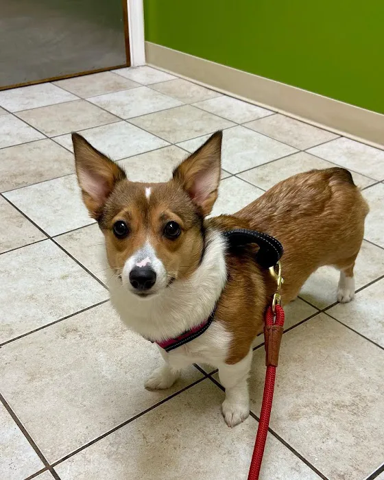 Family Pet Hospital 12