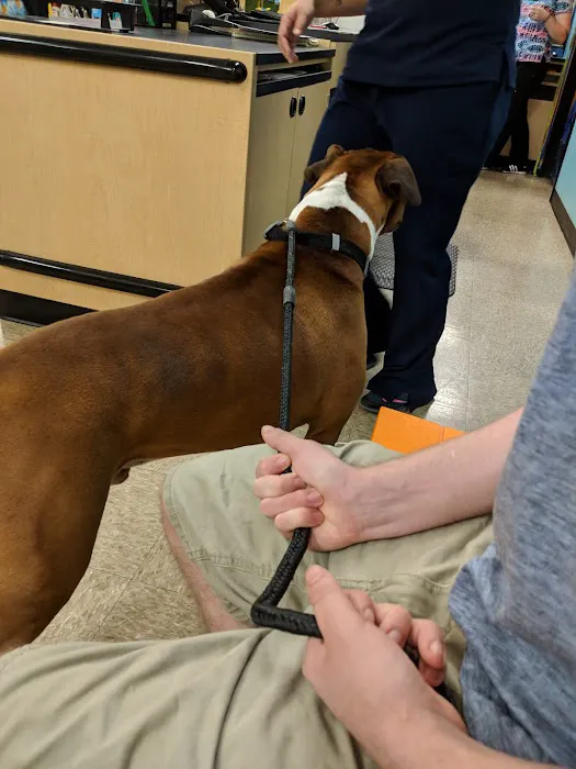 Banfield Pet Hospital 12