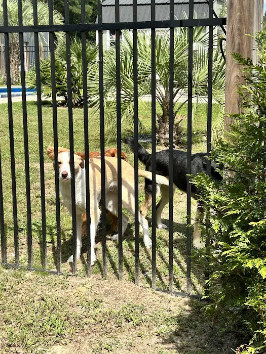 Banfield Pet Hospital 12