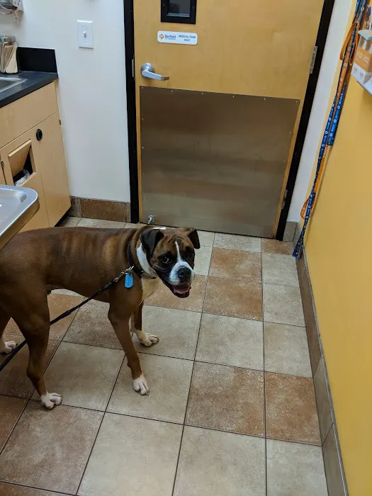 Banfield Pet Hospital 12